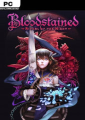 Bloodstained Ritual of the Night Key