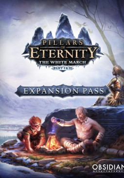 Joc Pillars of Eternity The White March Expansion Pass Key pentru Steam