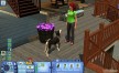 View a larger version of Joc The Sims 3: Pets pentru Origin 8/3