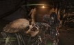 View a larger version of Joc Alien vs Predator pentru Steam 18/6