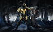 View a larger version of Joc Mortal Kombat X pentru Steam 15/6