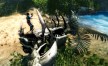 View a larger version of Joc Risen 2 Dark Waters pentru Steam 18/6