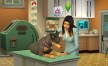 View a larger version of Joc The Sims 4 - Cats & Dogs DLC Origin CD Key pentru Origin 7/6