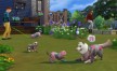 View a larger version of Joc The Sims 4 - Cats & Dogs DLC Origin CD Key pentru Origin 16/6