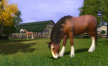 View a larger version of Joc The Sims 3: Pets pentru Origin 9/3